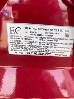 تسلا موديل Y